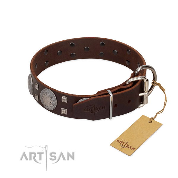 Exceptional full grain leather dog collar for everyday walking your four-legged friend