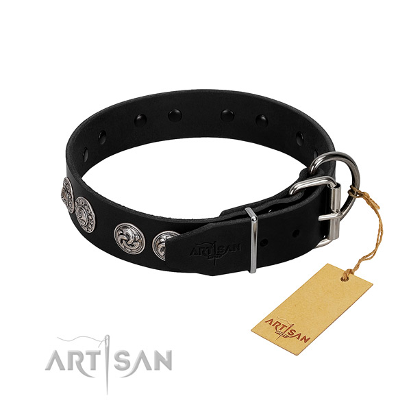 Exquisite full grain natural leather collar for your canine stylish walks