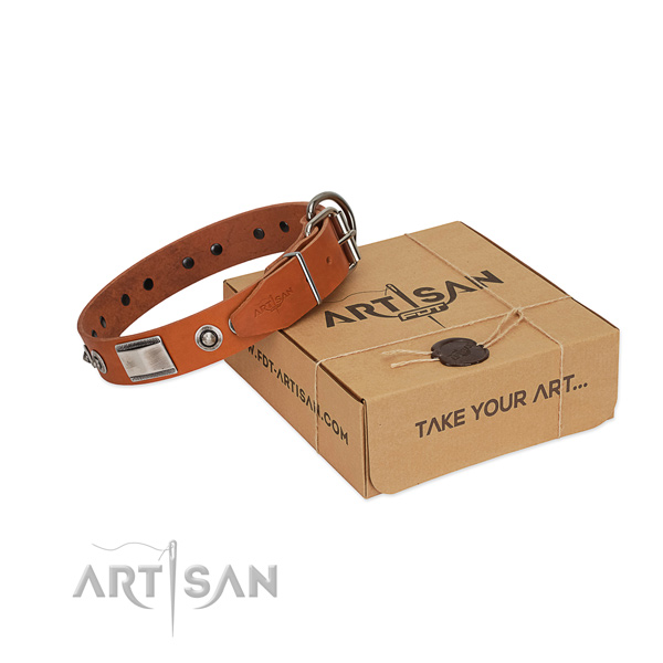 Extraordinary natural leather collar with adornments for your canine