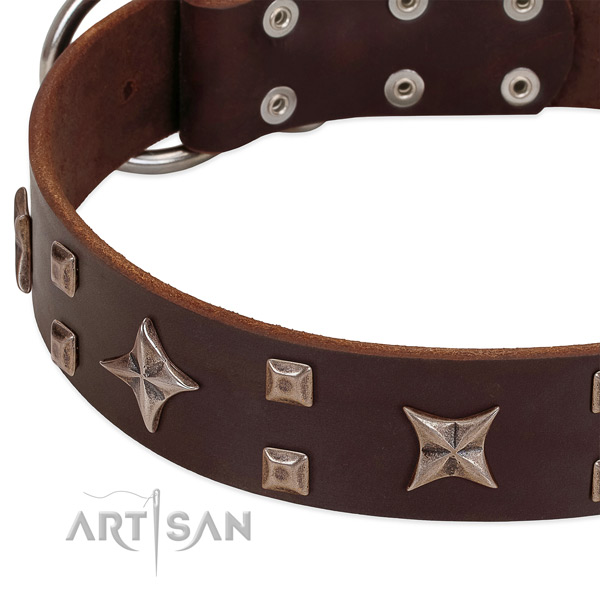 Rust-proof traditional buckle on genuine leather collar for basic training your four-legged friend