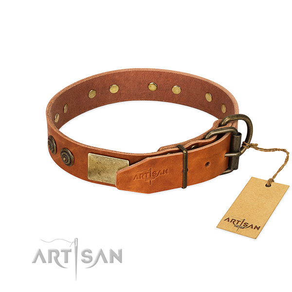 Strong D-ring on full grain leather collar for basic training your doggie