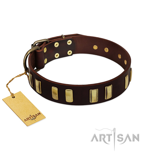 Leather dog collar with durable hardware for fancy walking