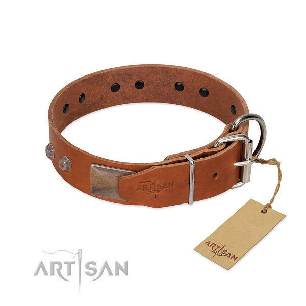 Amazing genuine leather dog collar for walking in style your pet