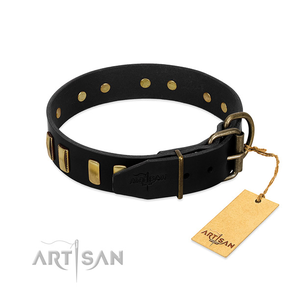 Leather dog collar with corrosion proof traditional buckle for walking