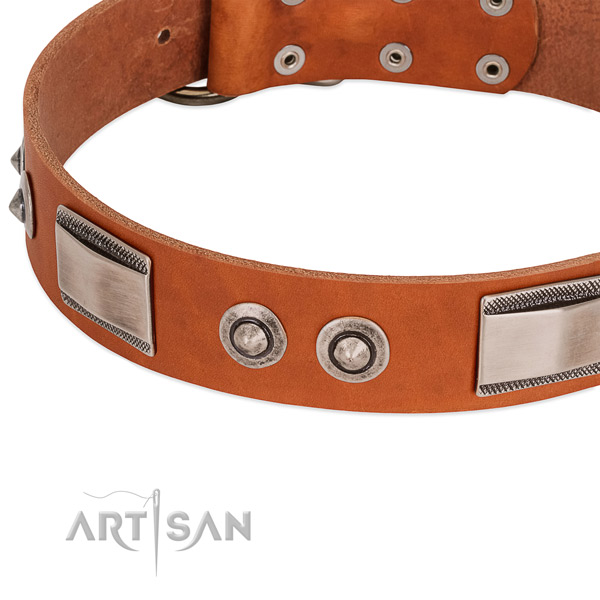 Unique full grain natural leather collar with embellishments for your canine