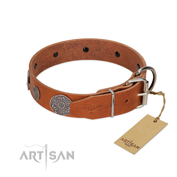 Perfect fit full grain leather collar for your lovely doggie