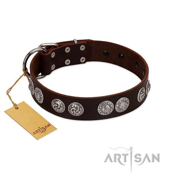 Unusual leather collar for your four-legged friend stylish walking