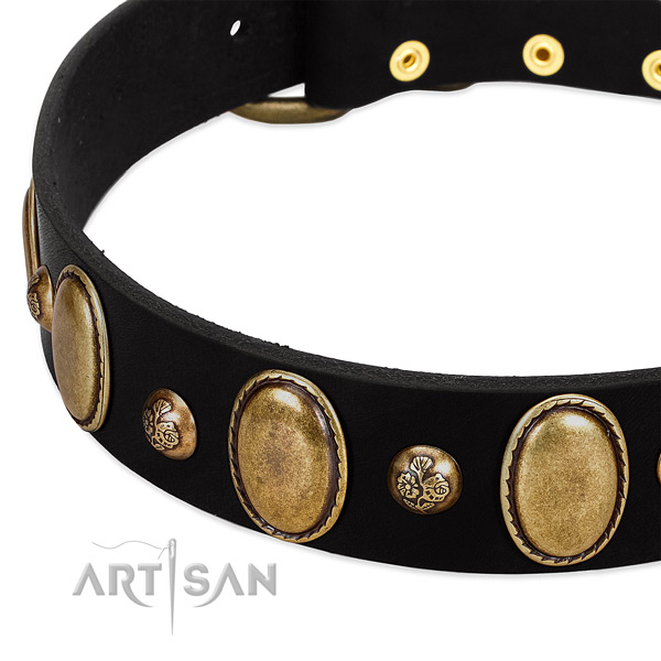 Natural leather dog collar with unusual adornments