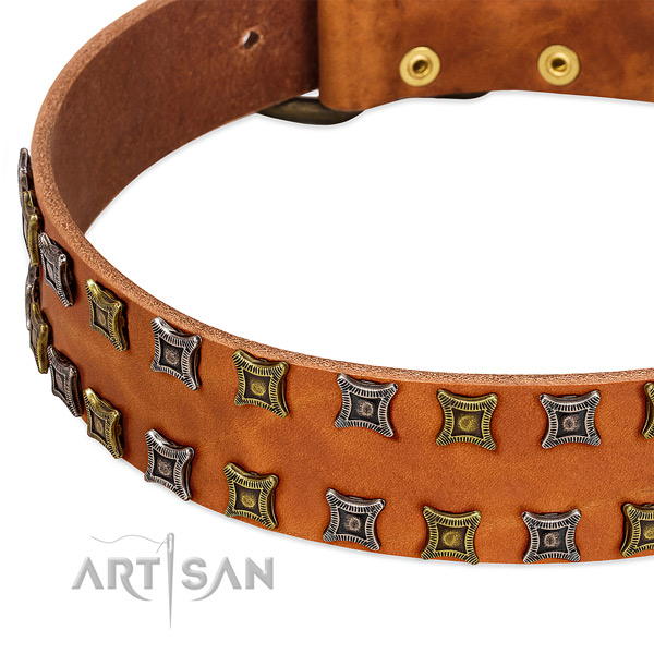 Top rate full grain leather dog collar for your stylish four-legged friend