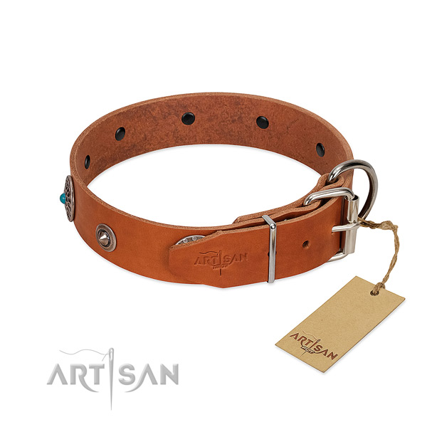 Leather dog collar with stylish design decorations