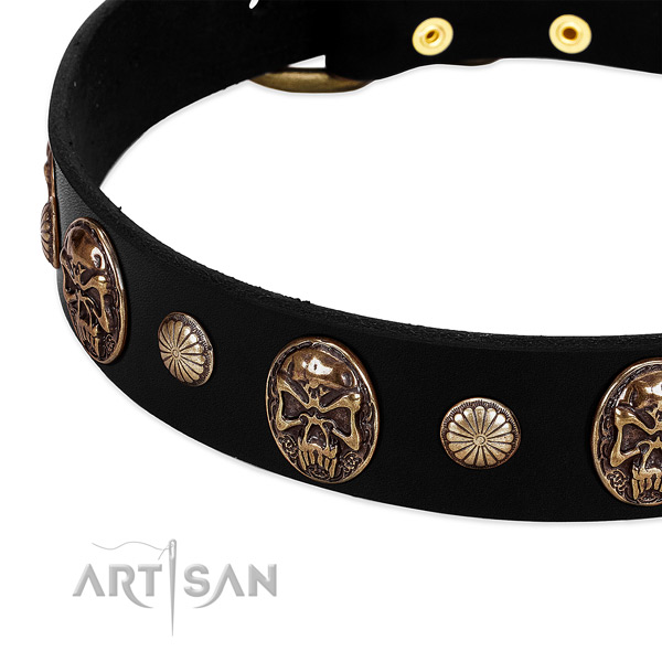 Genuine leather dog collar with stylish design adornments