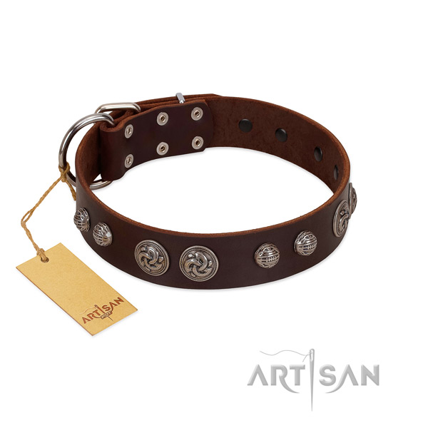 Inimitable full grain natural leather dog collar for basic training