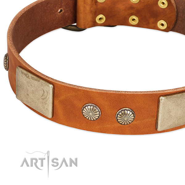 Reliable D-ring on natural genuine leather dog collar for your doggie