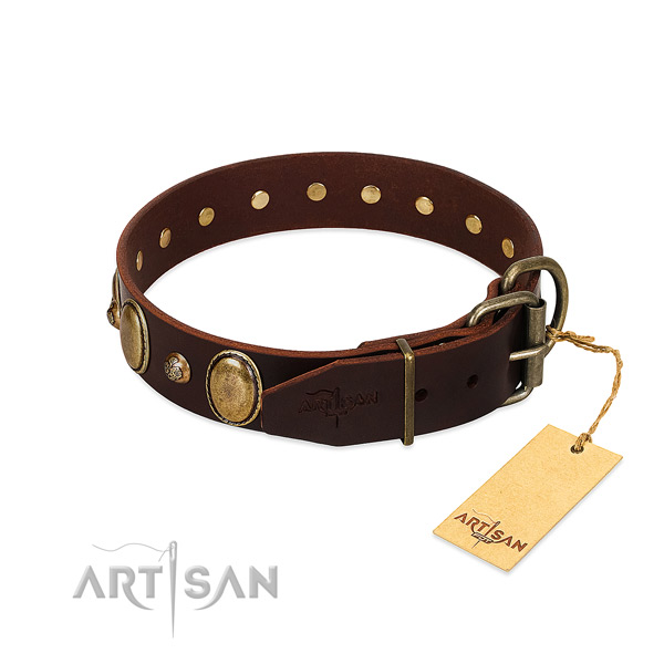 Rust resistant fittings on natural genuine leather collar for fancy walking your pet