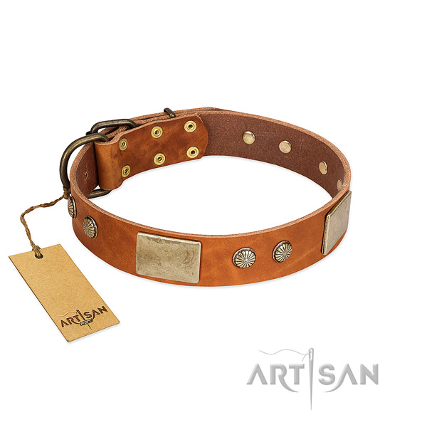 Easy adjustable full grain natural leather dog collar for everyday walking your canine