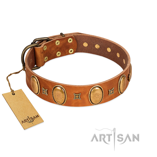 Genuine leather dog collar with stylish design embellishments for handy use