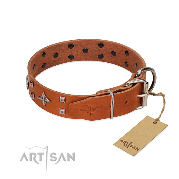 Trendy genuine leather collar for your dog daily walking