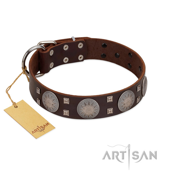 Impressive leather dog collar for everyday walking your canine