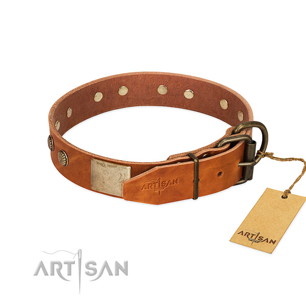 Durable hardware on stylish walking dog collar