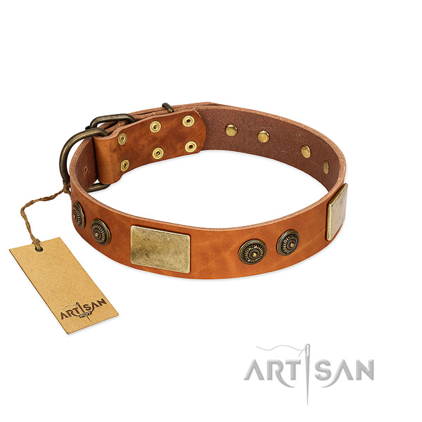 Fashionable full grain natural leather dog collar for basic training