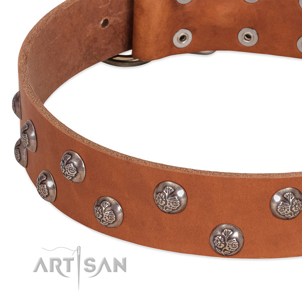 Genuine leather dog collar with reliable D-ring and studs