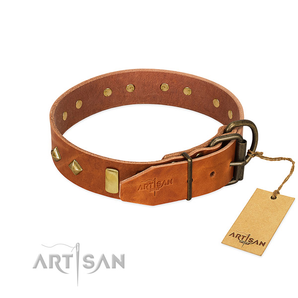 Stylish walking full grain natural leather dog collar with trendy adornments