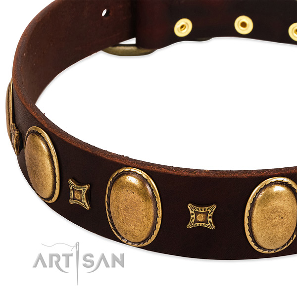Leather dog collar with rust resistant fittings for comfortable wearing