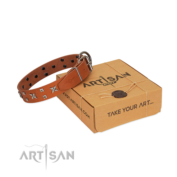 Soft to touch full grain genuine leather dog collar with studs for daily walking