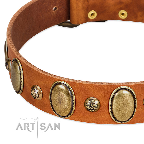 Full grain genuine leather dog collar with exceptional decorations