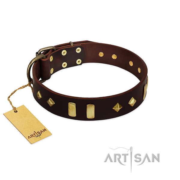 Full grain natural leather dog collar with corrosion resistant fittings for daily walking
