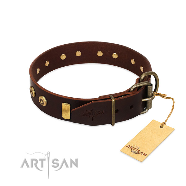 Top rate natural leather dog collar with awesome embellishments