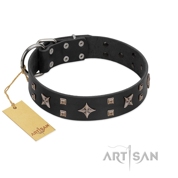 Durable decorations on genuine leather dog collar for your canine