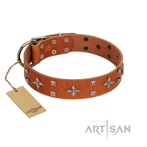 Remarkable genuine leather collar for your doggie walking in style