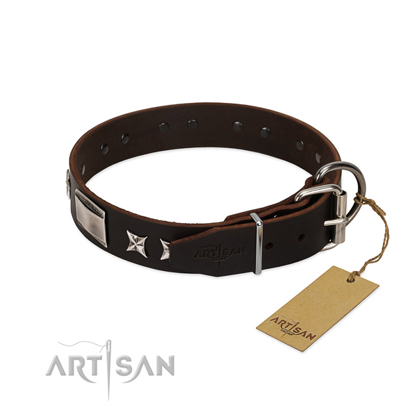 Significant collar of genuine leather for your handsome doggie