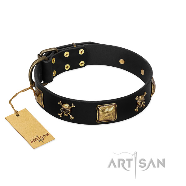 Quality full grain genuine leather collar with adornments for your doggie