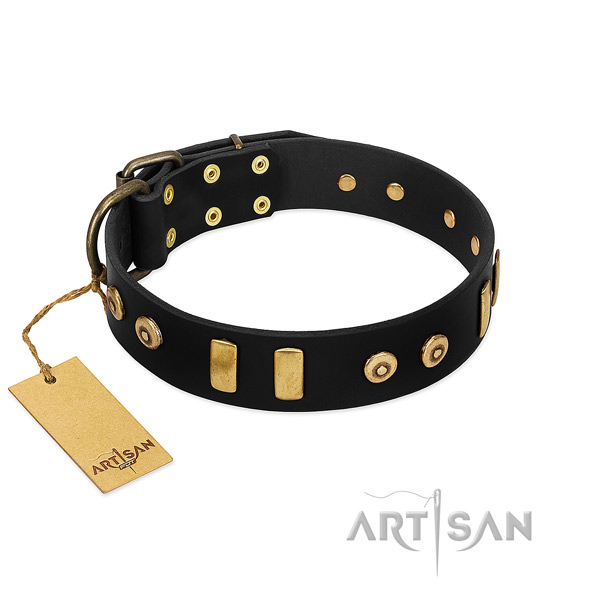 Top notch leather collar with exceptional adornments for your dog