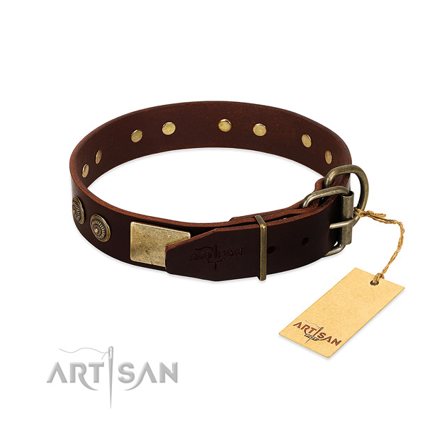 Rust resistant fittings on leather dog collar for your dog