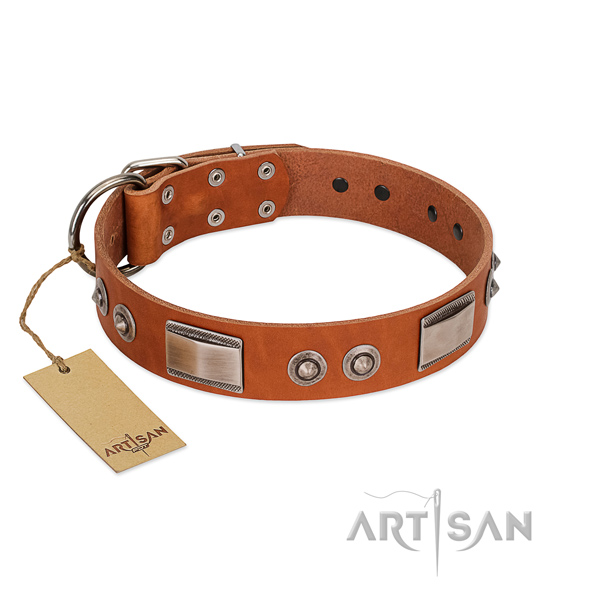 Easy wearing natural leather collar with decorations for your canine