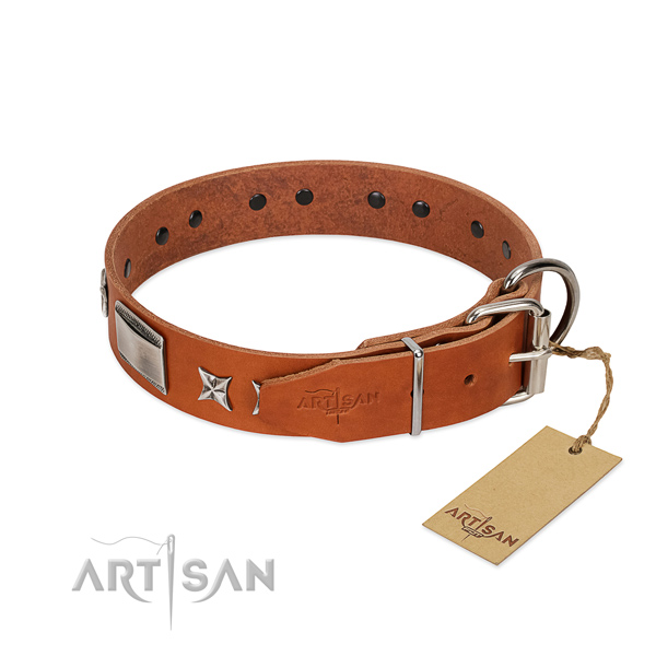 Best quality full grain leather dog collar with rust resistant D-ring