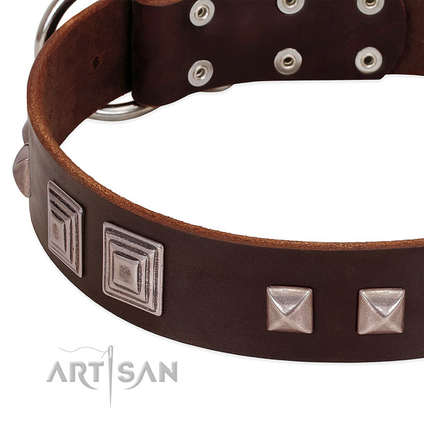 Rust-proof traditional buckle on leather dog collar for easy wearing