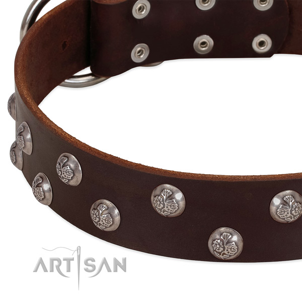Full grain natural leather dog collar with corrosion proof fittings and decorations