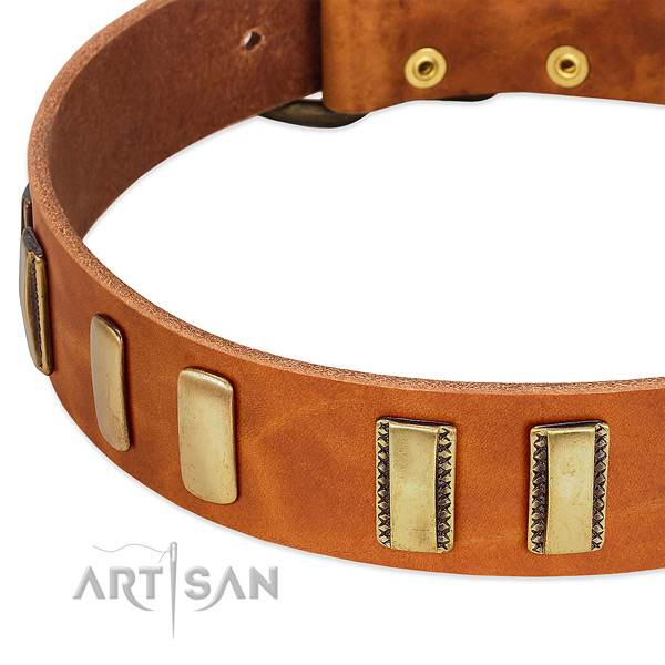 Best quality full grain genuine leather dog collar with adornments for stylish walking