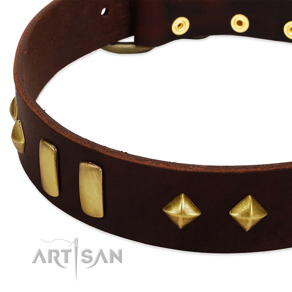 Soft genuine leather dog collar with top notch embellishments