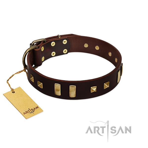 Soft natural leather dog collar with adornments for daily walking