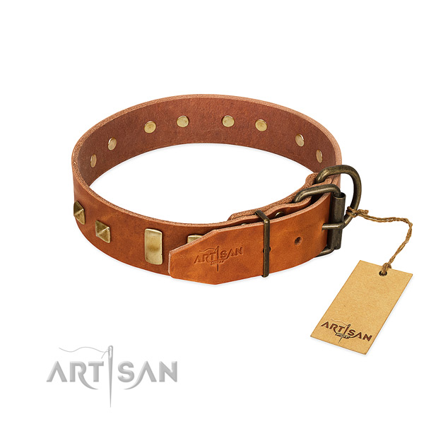 Reliable leather dog collar with durable D-ring
