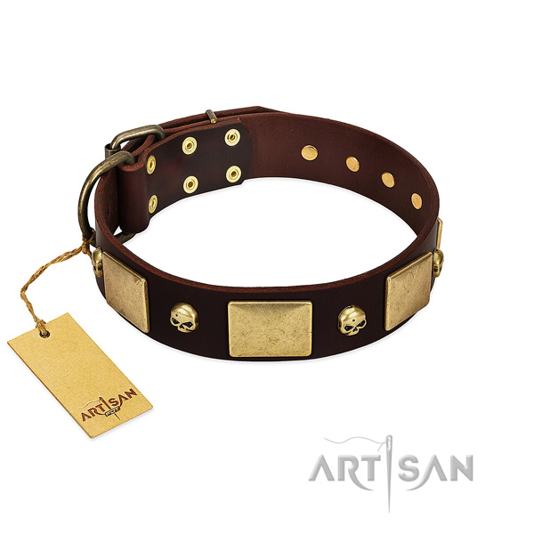 Strong full grain natural leather dog collar with corrosion proof decorations