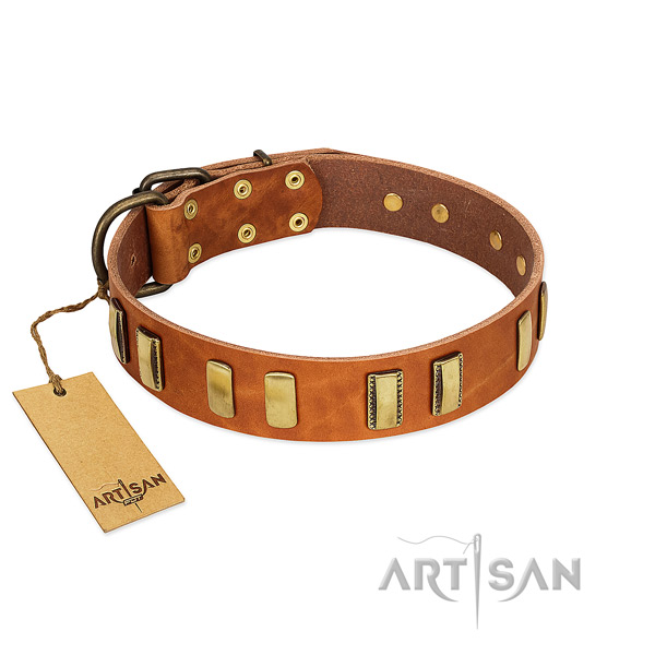 Top notch full grain genuine leather dog collar with corrosion proof hardware