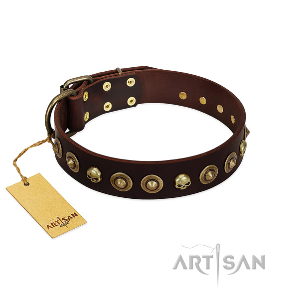 Full grain leather collar with stunning adornments for your four-legged friend