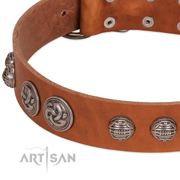 Reliable traditional buckle on natural genuine leather collar for stylish walking your canine