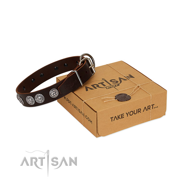 Stunning genuine leather collar for your dog walking in style